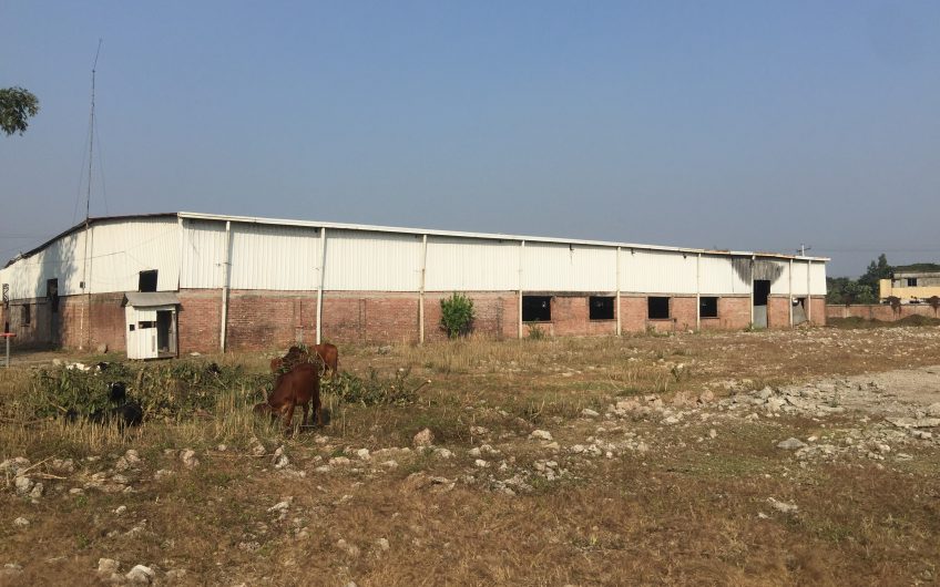 28.05 Bigha Ready Plot for Sale @ Kewa Bazar, Sreepur, Gazipur